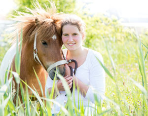 paard, pony, shetlander, dierfotografie, buiten, zomer, zon, portretfotografie